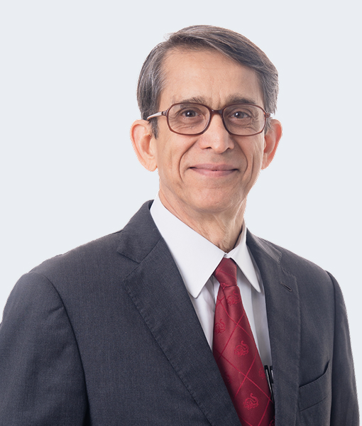 Dr. S. B. (Ravi) Pandit