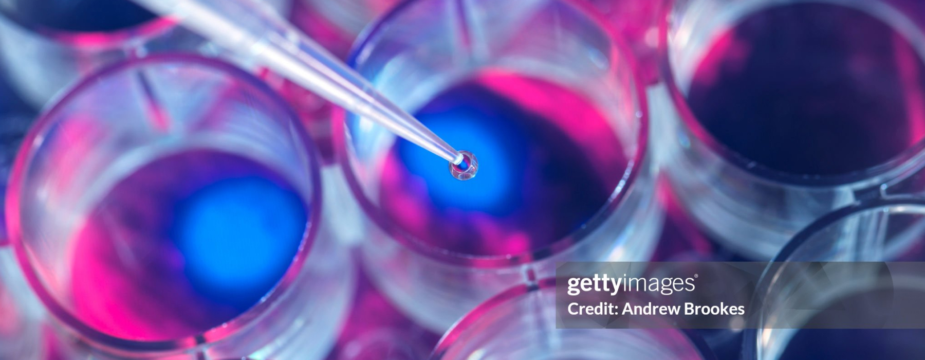 Thermax enhances decolourisation efficiency for Thailand’s leading sugar refinery