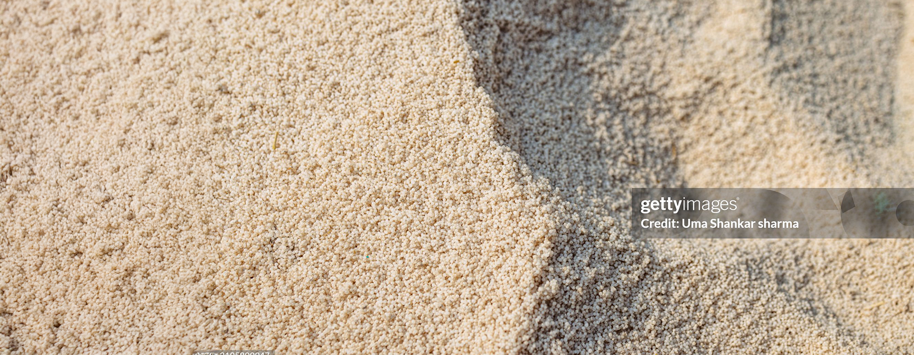 Thermax’s 175 TPH radiant boiler enables a fertiliser company to achieve uninterrupted steam generation and optimised performance.