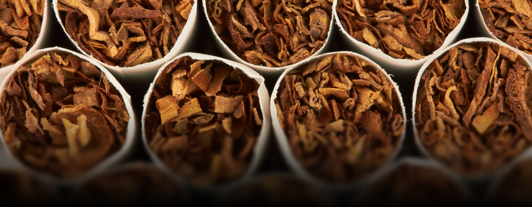Thermax powers a biomass shift for a tobacco plant