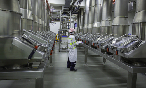 Thermax enables a pharmaceutical major in Western India to cut steam costs and emissions with a biomass-fired boiler solution