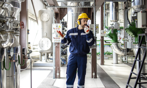 Thermax’s RLA (remaining life assessment) helps an F&B giant enhance boiler reliability and ensure safe, uninterrupted operations.