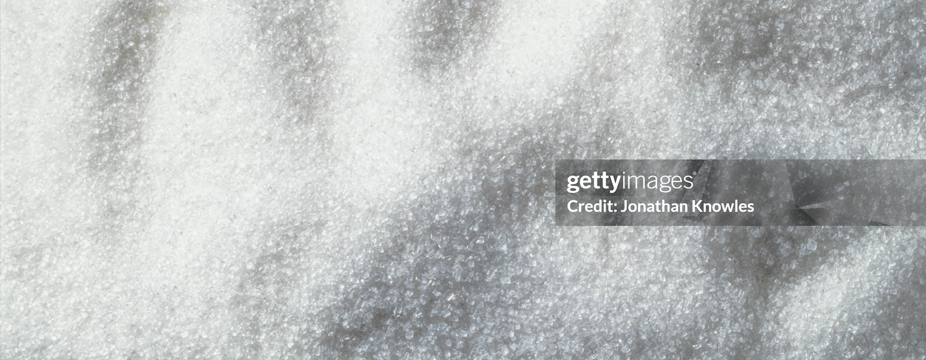 Thermax’s electrostatic precipitator enhances emission control for a palm oil manufacturer