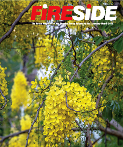 Volume 46 | No.1