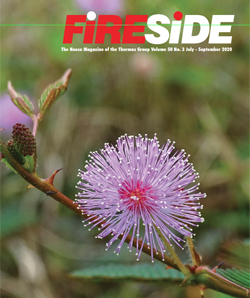 Volume 50 | No. 3